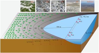 Response of microbial diversity and function to the degradation of Barkol Saline Lake